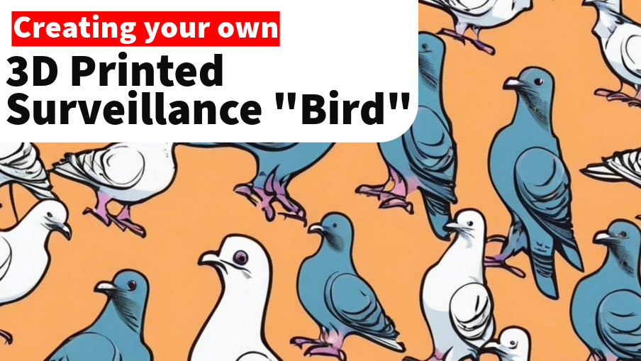birds-aren’t-real-–-how-to-create-your-own-“bird”