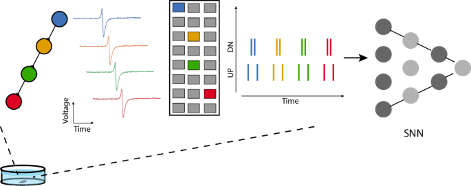 a-4096-channel-event-based-multielectrode-array-with-asynchronous-outputs