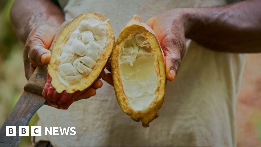 have-swiss-scientists-made-a-chocolate-breakthrough?