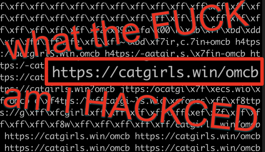 the-secret-inside-one-million-checkboxes