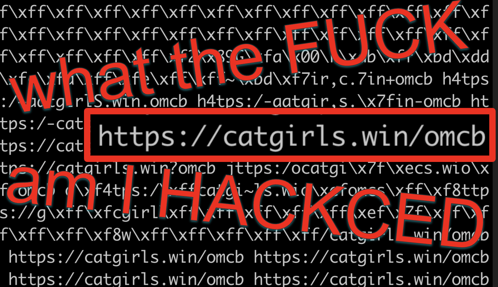 the-secret-inside-one-million-checkboxes