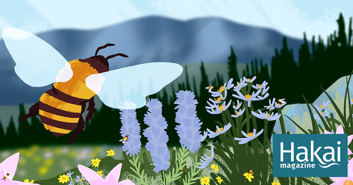 here-a-bee,-there-a-bee,-everywhere-a-wild-bee