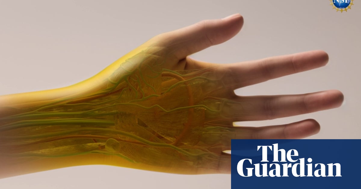 common-food-dye-found-to-make-skin-and-muscle-temporarily-transparent
