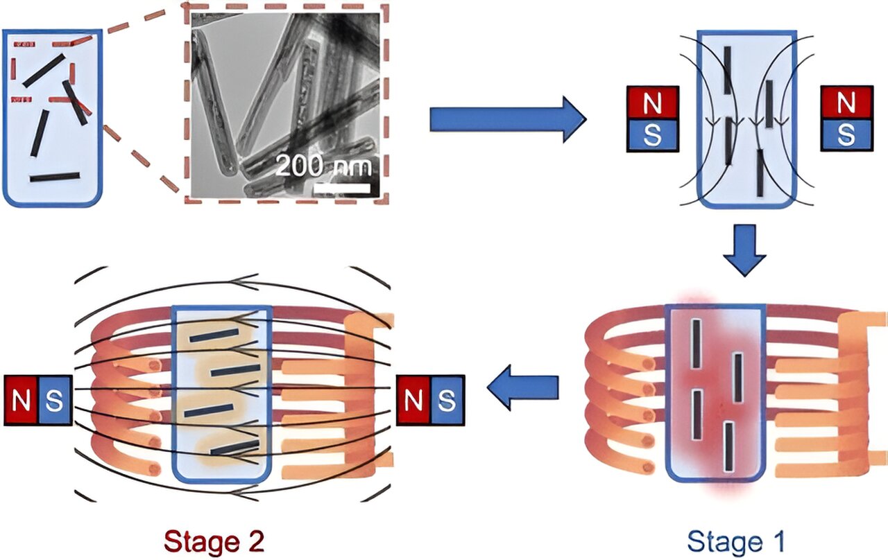 scientists-use-magnetic-nanotech-to-safely-rewarm-frozen-tissues-for-transplant