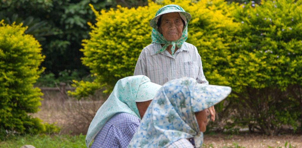the-data-on-extreme-human-ageing-is-rotten-from-the-inside-out