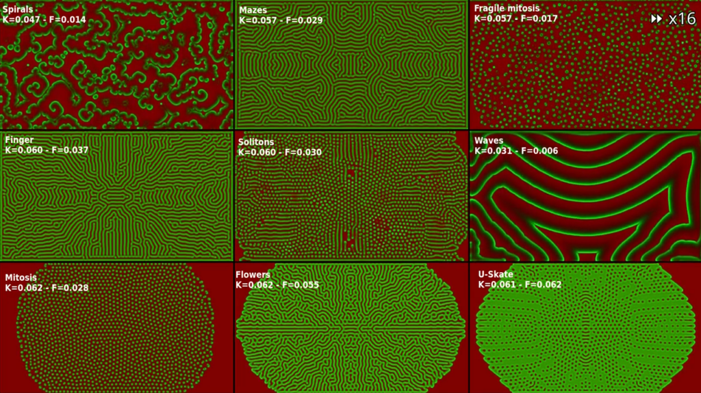 mitosis-in-the-gray-scott-model:-writing-shader-based-chemical-simulations