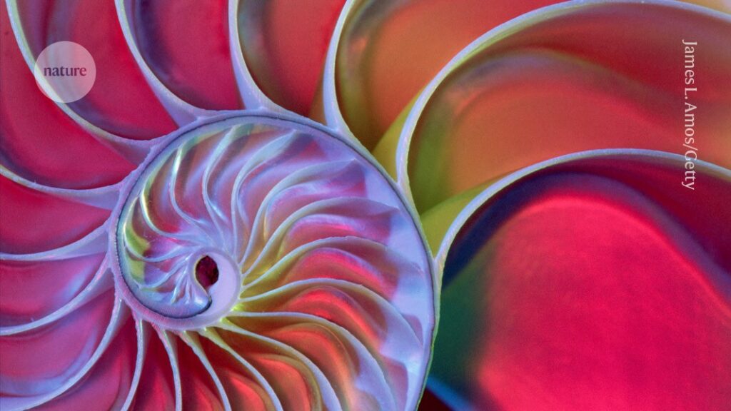 mathematicians-discover-new-class-of-shape-seen-throughout-nature