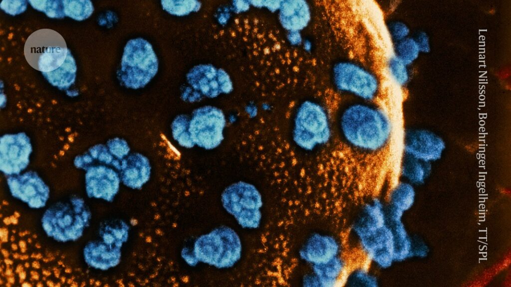 stem-cells-reverse-woman’s-diabetes