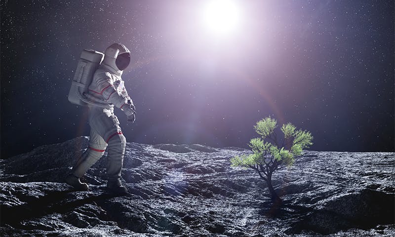 will-plants-grow-on-the-moon?