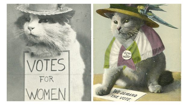 cat-memes-went-viral-100-years-ago