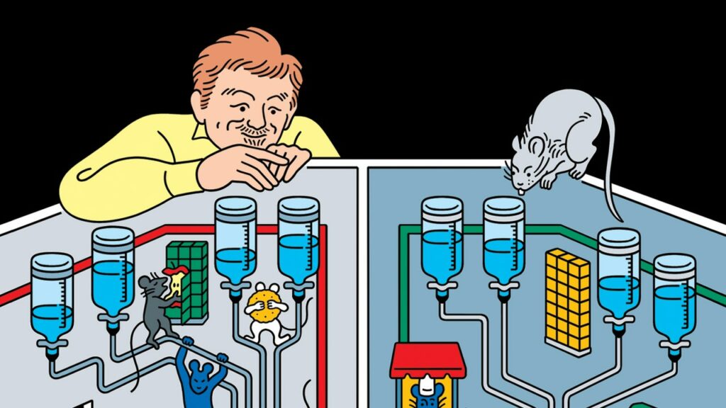 the-rat-studies-that-foretold-a-nightmarish-human-future