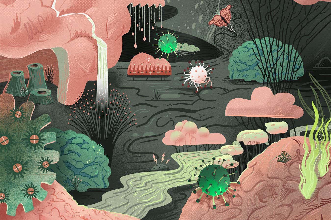 the-brain-has-its-own-microbiome