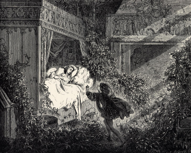 waking-up-science’s-sleeping-beauties-(2023)