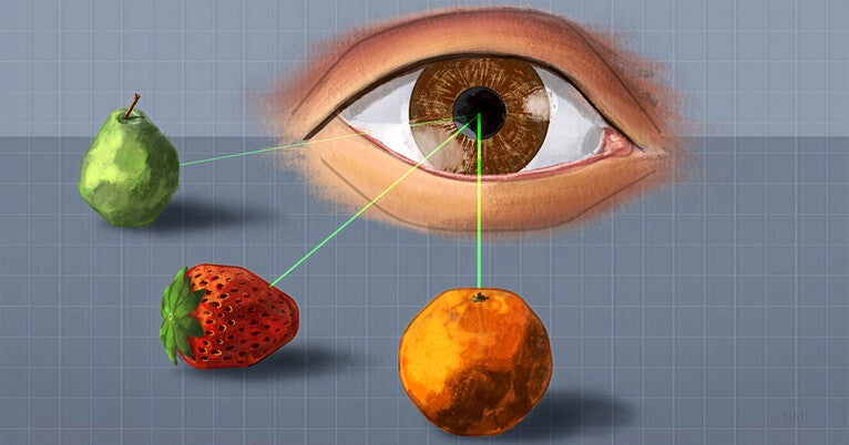 ‘visual-clutter’-alters-information-flow-in-the-brain