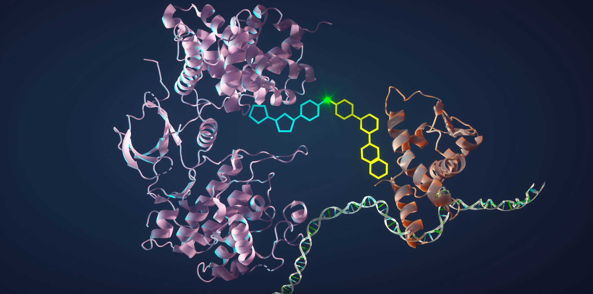 scientists-glue-two-proteins-together,-driving-cancer-cells-to-self-destruct