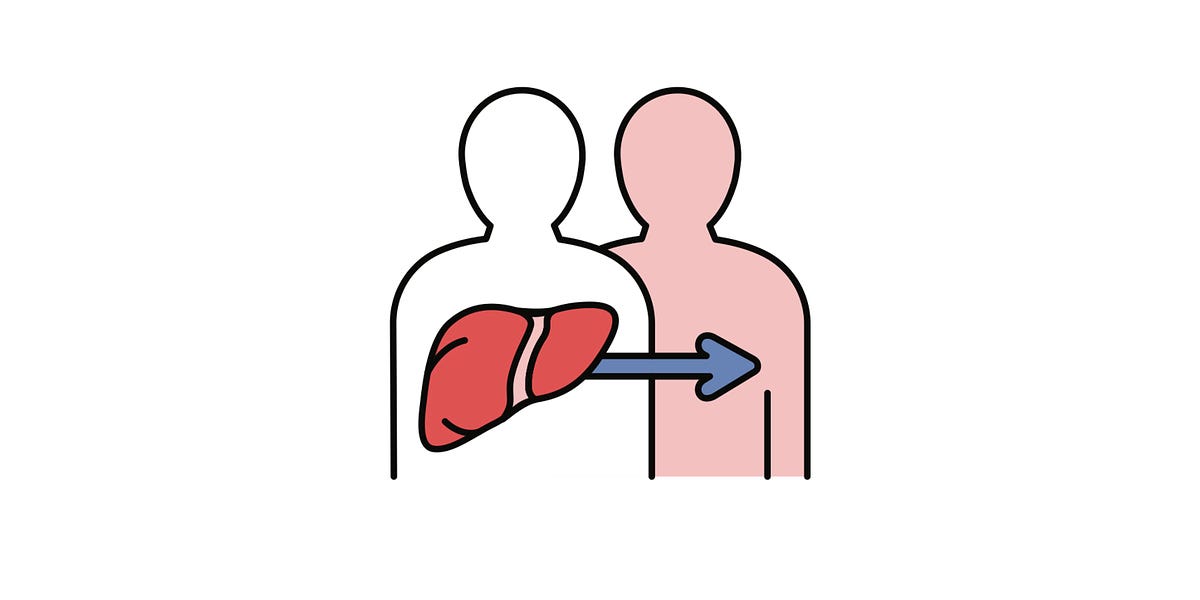is-the-uk’s-liver-transplant-matching-algorithm-biased-against-younger-patients?