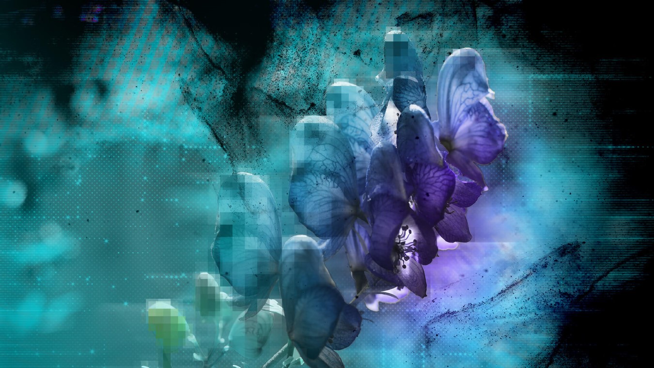 security-researchers-identify-new-malware-targeting-linux