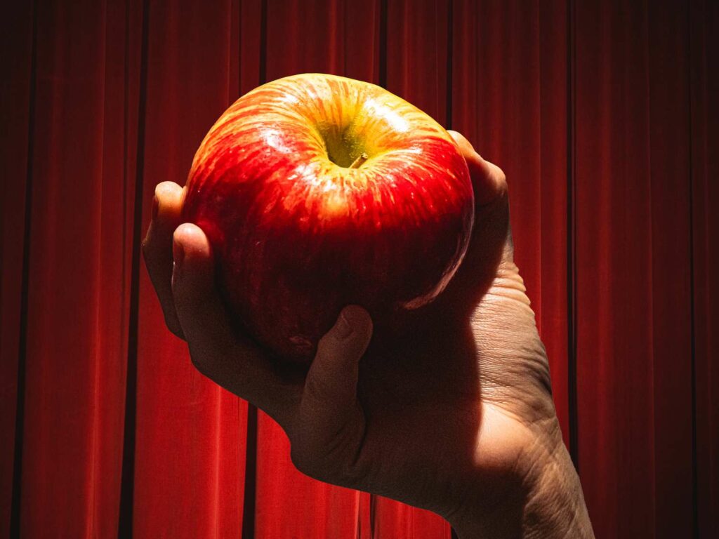 how-honeycrisp-apples-went-from-marvel-to-mediocre