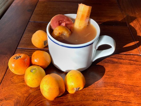 christmas-punch-requires-a-formerly-forbidden-fruit