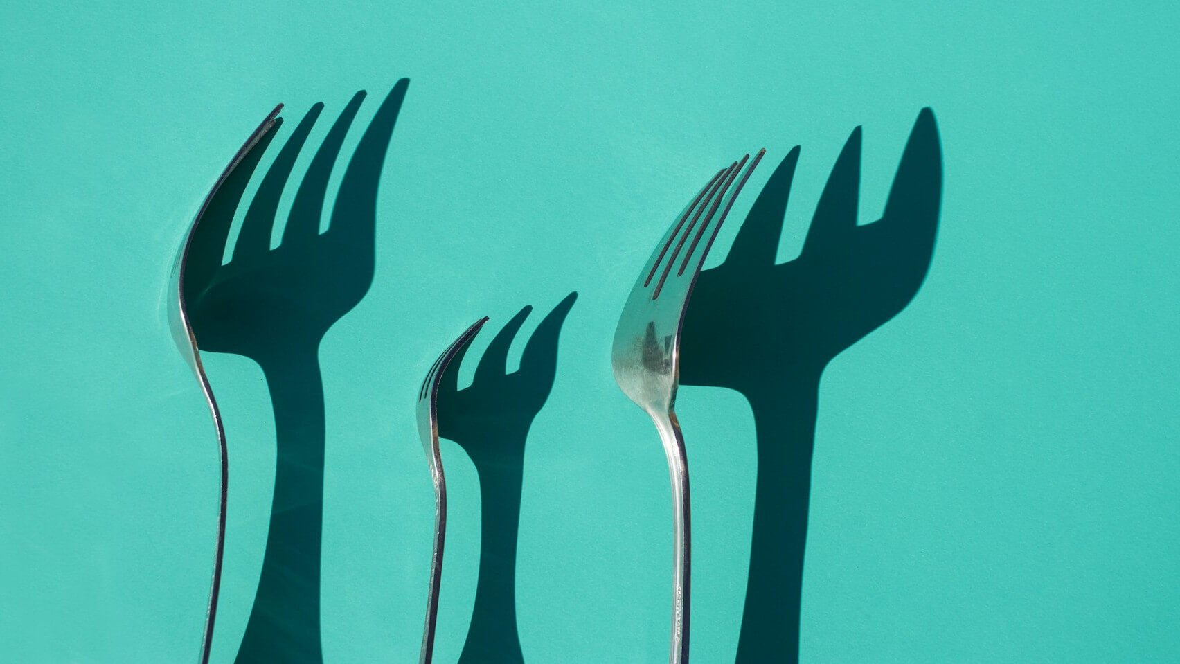 what-happens-to-relicensed-open-source-projects-and-their-forks?