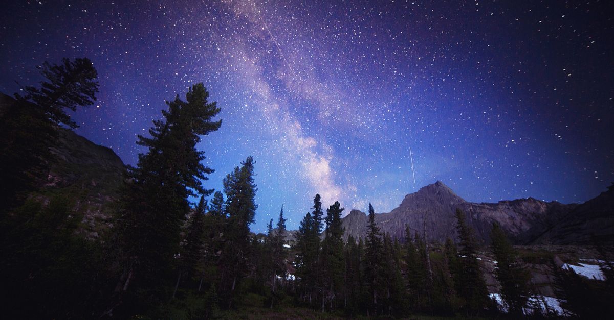 there-are-more-trees-on-earth-than-stars-in-the-milky-way