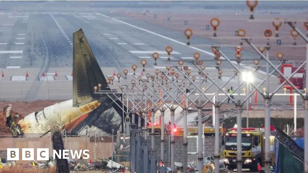 why-was-there-a-wall-near-runway-at-s-korea-plane-crash-airport?