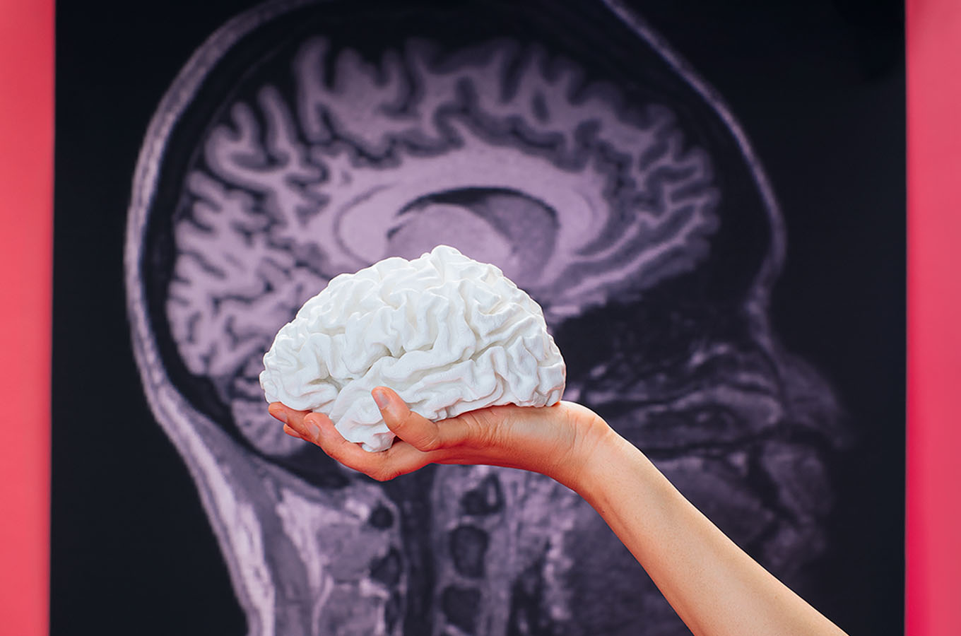 using-ai-to-develop-a-fuller-model-of-the-human-brain