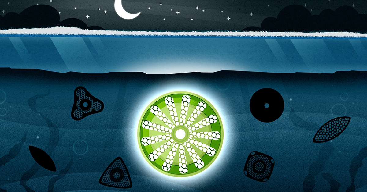 how-does-life-happen-when-there’s-barely-any-light?