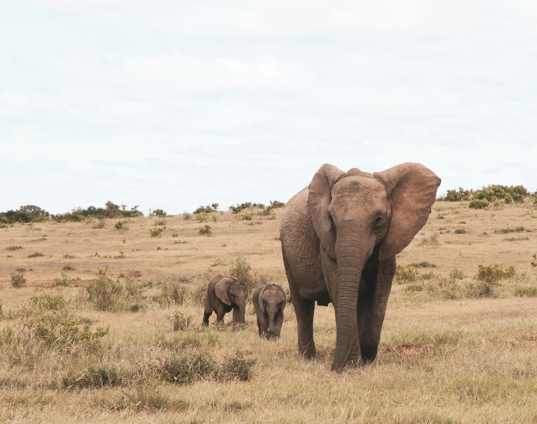 scaling-with-postgresql-without-boiling-the-ocean