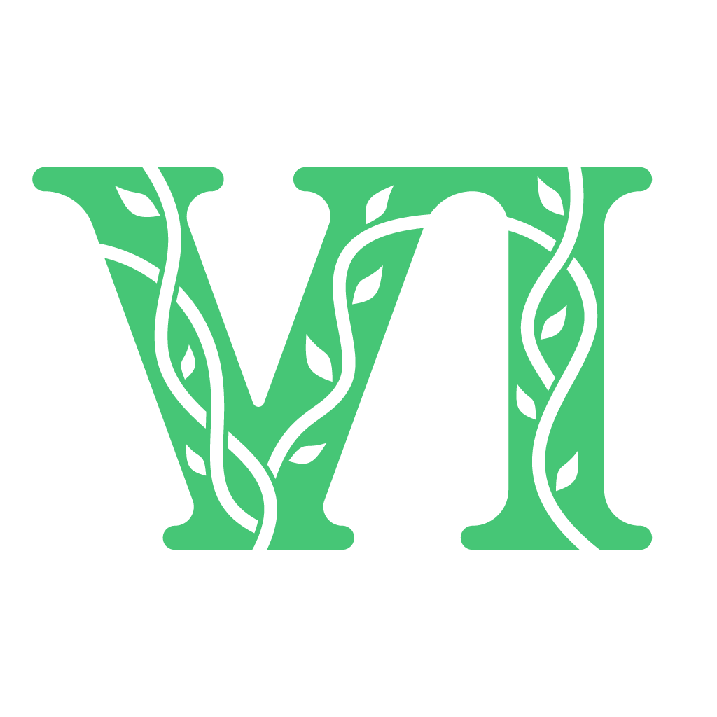 vine:-a-programming-language-based-on-interaction-nets