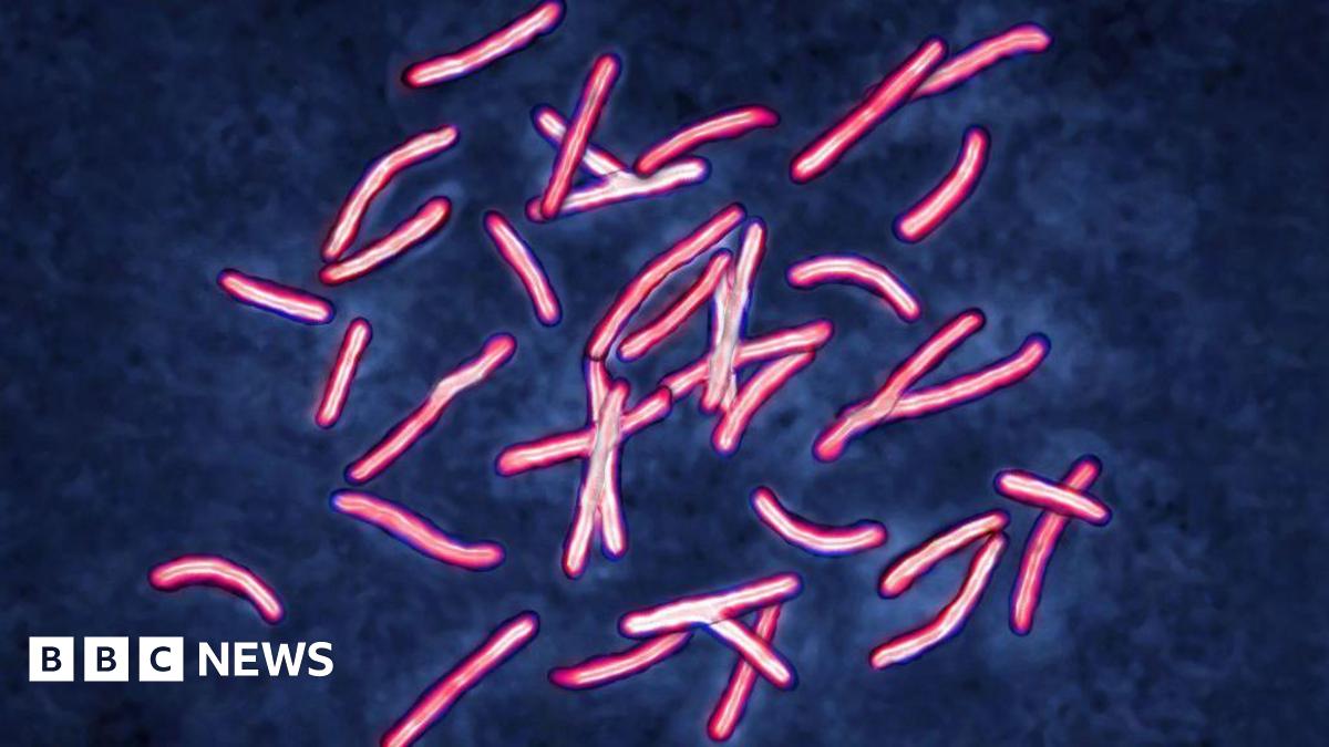ai-cracks-superbug-problem-in-two-days-that-took-scientists-years