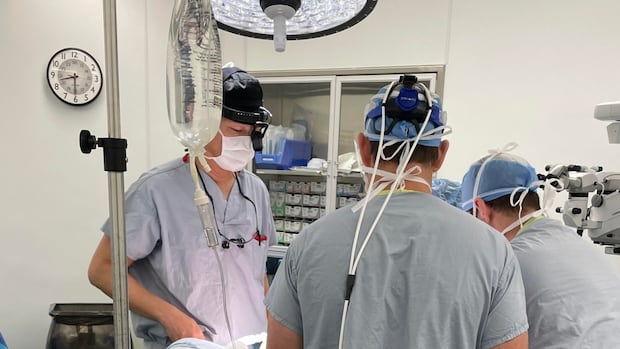 surgery-implants-tooth-material-in-eye-as-scaffolding-for-lens