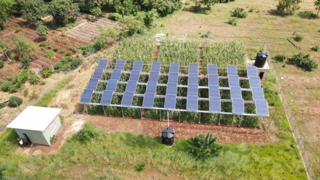 harvest-the-sun-twice:-agrivoltaics-promises-sustainable-food,-energy-and-water