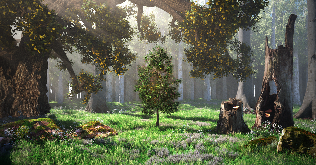 how-to-build-a-thousand-year-old-tree