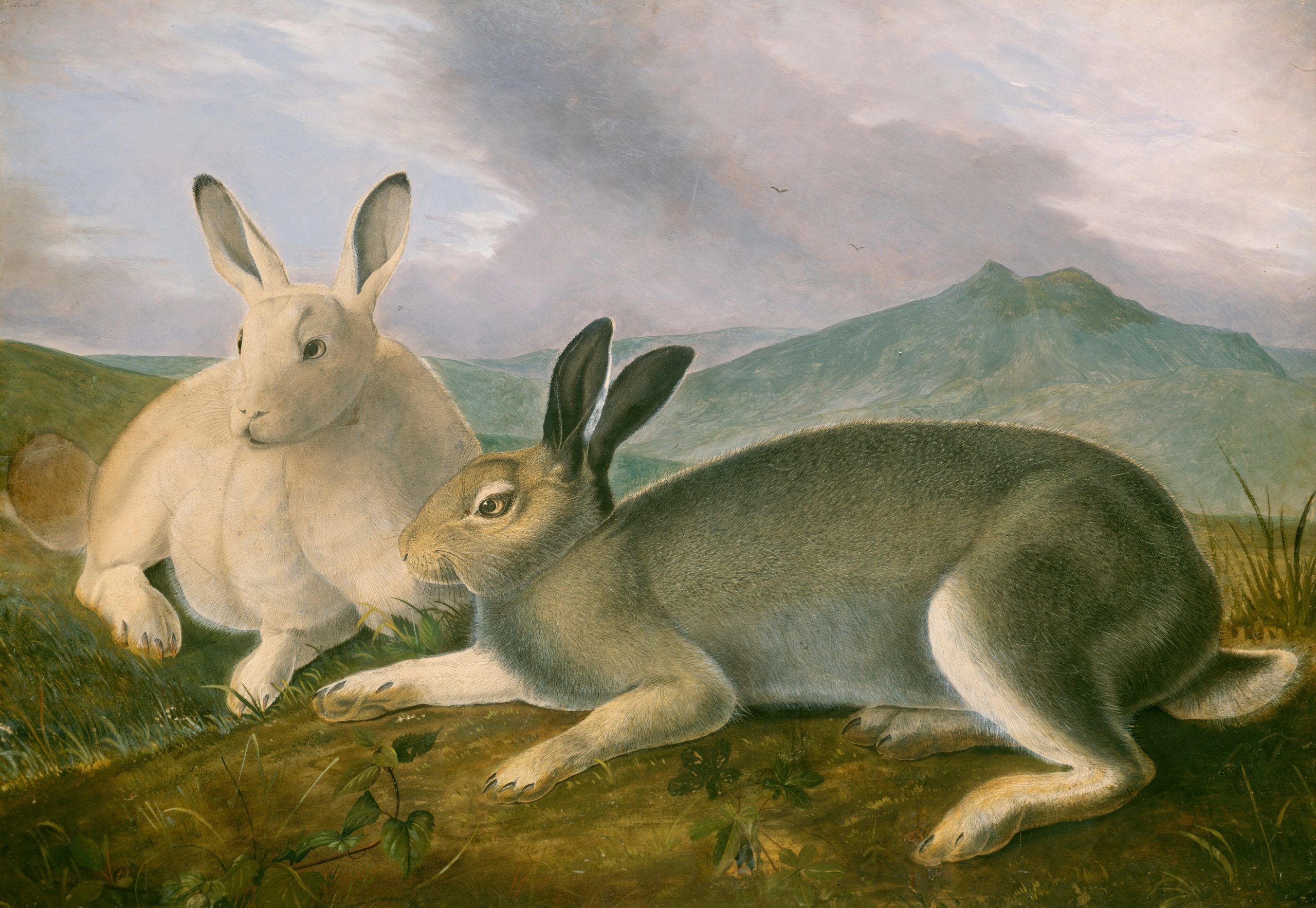 switching-to-bunnycdn-in-less-than-2-hours