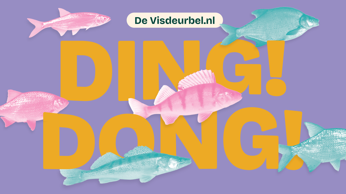 did-you-spot-a-fish?-press-the-fish-doorbell