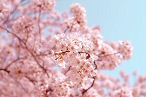 minimal-css-only-blurry-image-placeholders