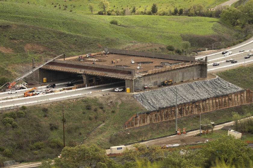world’s-largest-wildlife-crossing-reaches-critical-milestone.-now-what?