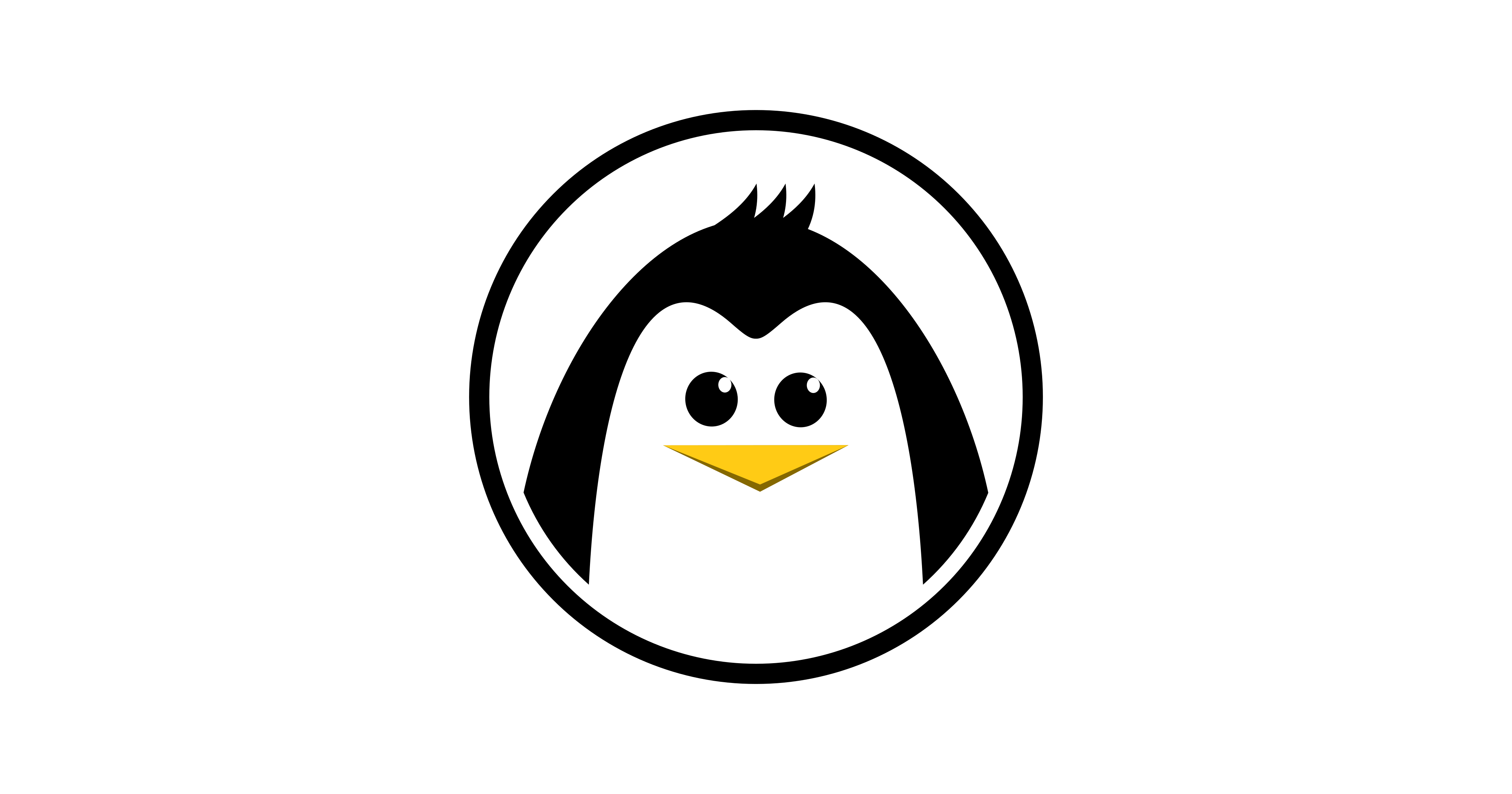 the-best-programmers-i-know