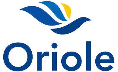 bridged-indexes-in-orioledb:-architecture,-internals-and-everyday-use?