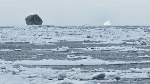 rare-black-iceberg-spotted-off-labrador-coast-could-be-100k-years-old