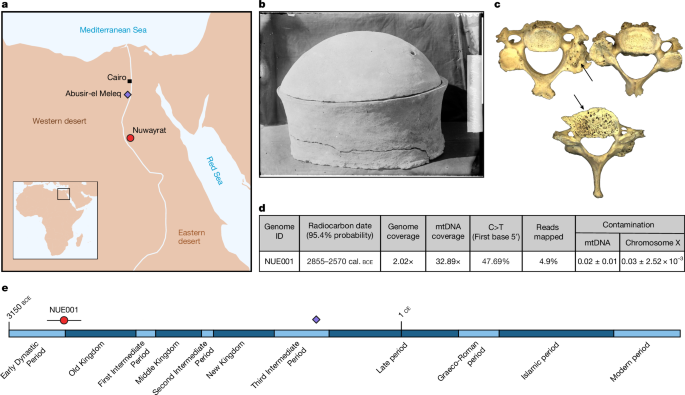 whole-genome-ancestry-of-an-old-kingdom-egyptian