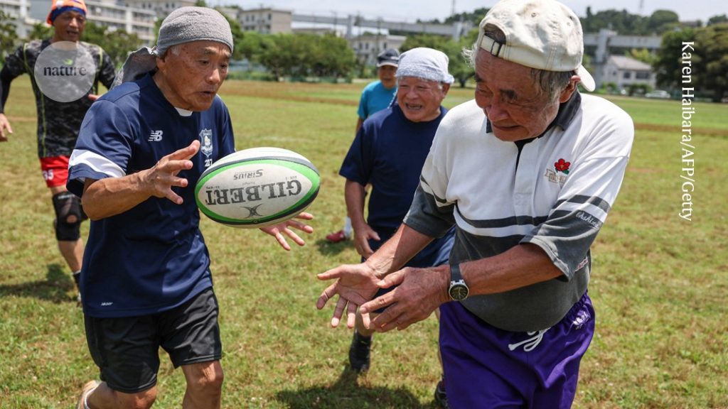 ageing-accelerates-around-age-50-―-some-organs-faster-than-others