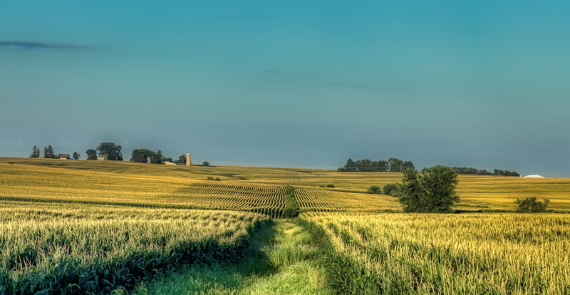 big-agriculture-mislead-the-public-about-the-benefits-of-biofuels