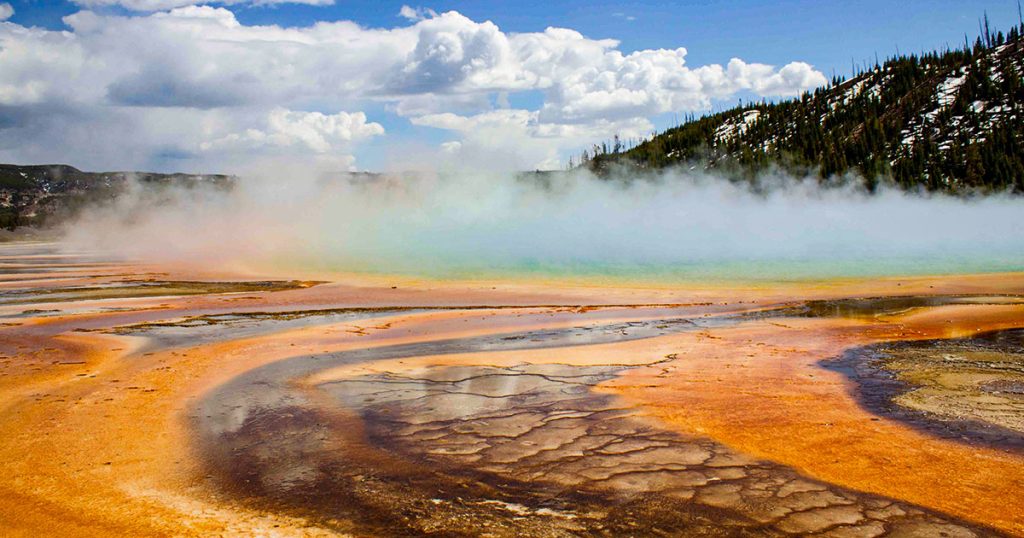 cells-that-breathe-oxygen-and-sulfur-at-the-same-time