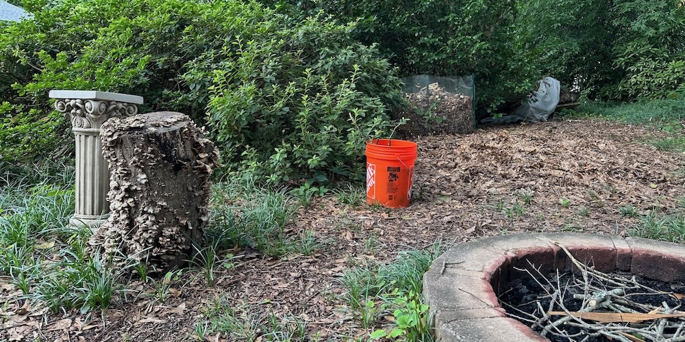 try-the-mosquito-bucket-of-death