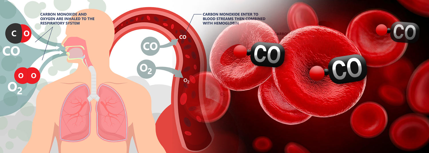 new-protein-therapy-shows-promise-as-antidote-for-carbon-monoxide-poisoning