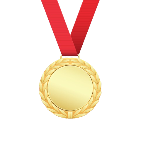 icpc-2025-world-finals-results