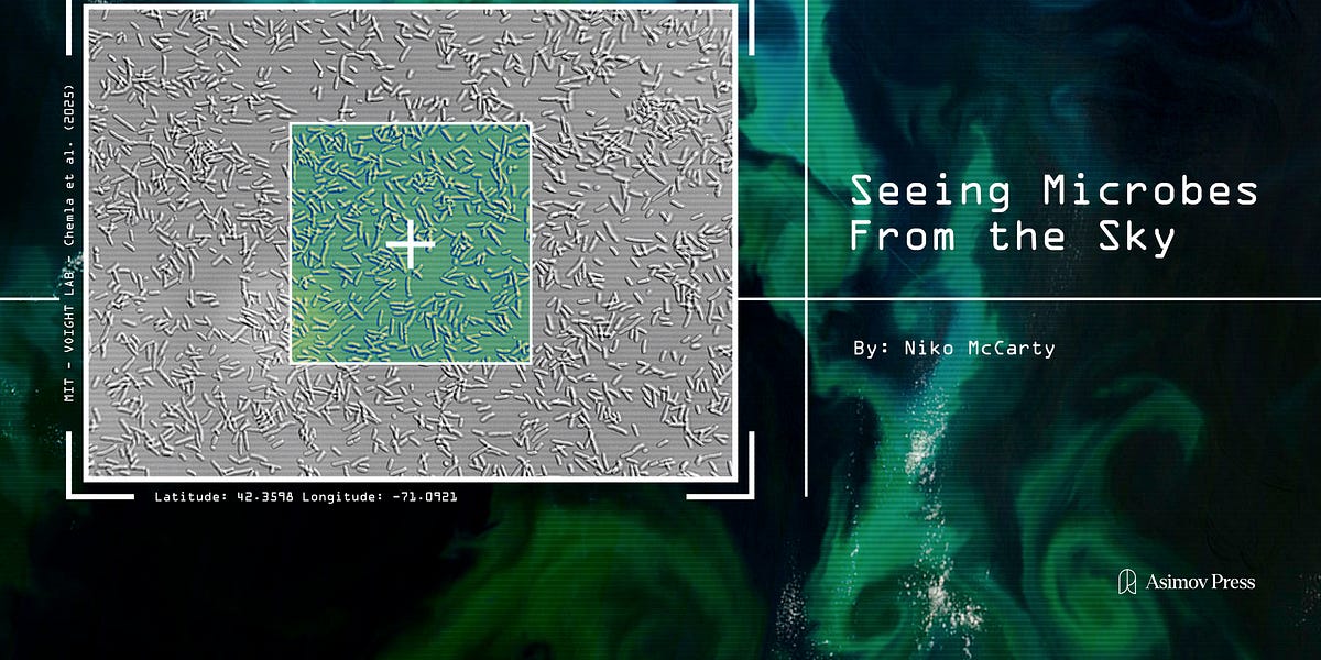 mit-technology-can-see-microbes-from-90-meters-away