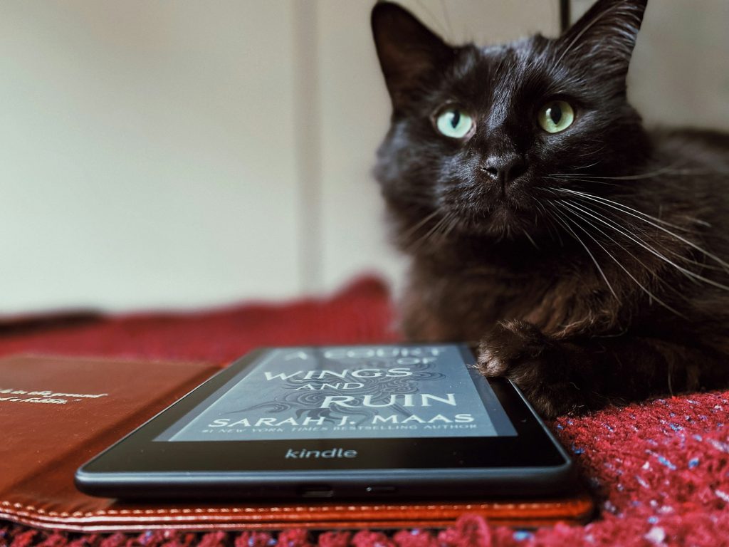 i-bypassed-amazon’s-kindle-web-drm-because-their-app-sucked